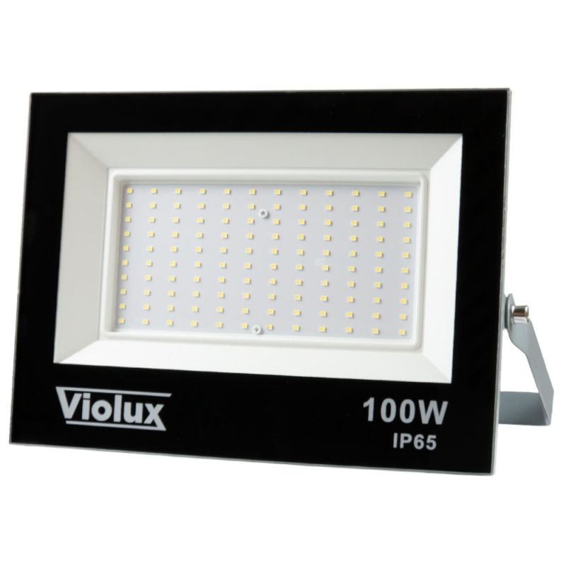 Прожектор світлодіодний RAY 100W 6000K IP65