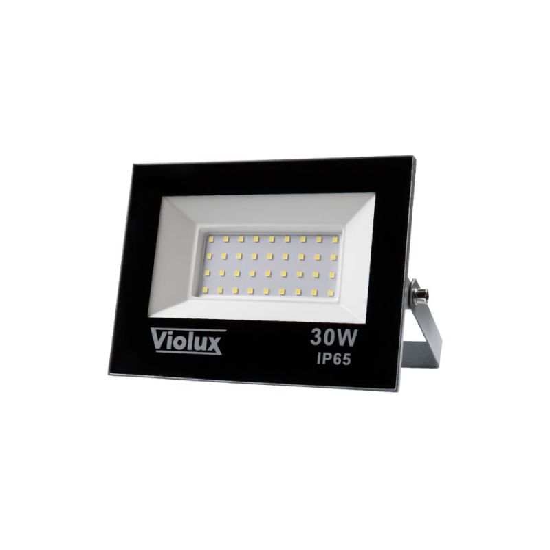 Прожектор світлодіодний RAY 30W 6000K IP65