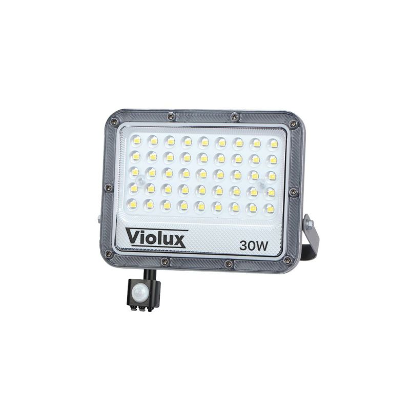 LED прожектор CARBON-S 30W 5000K IP65 (з датчиком руху)