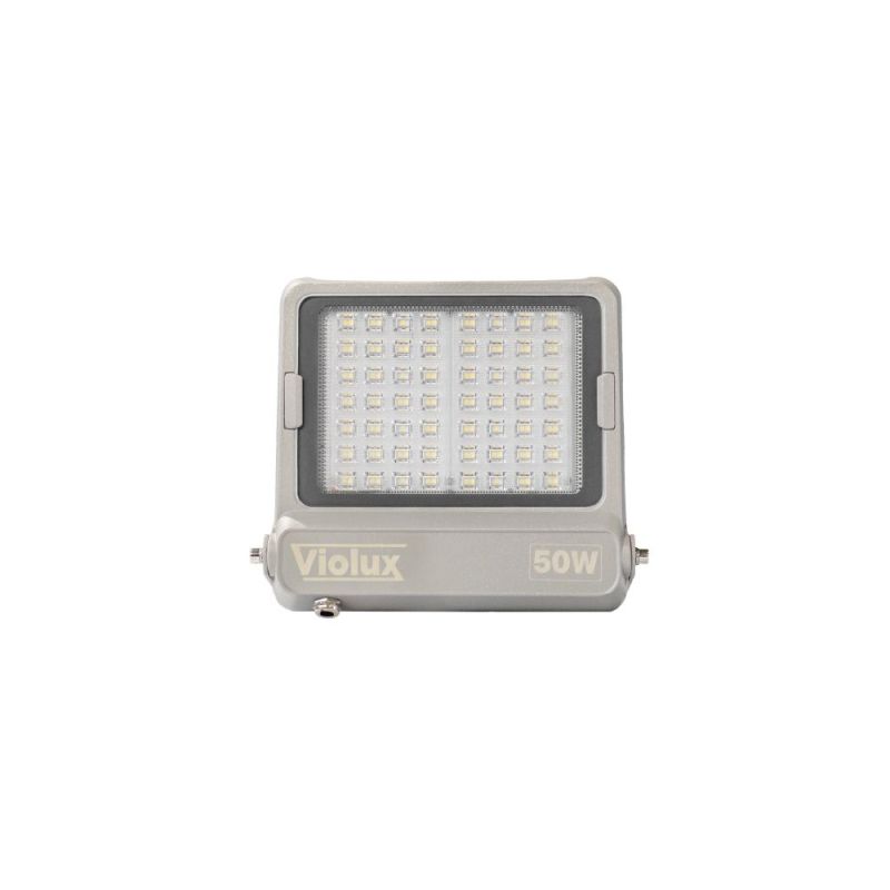 Прожектор світлодіодний HAMMER 50W 5000K IP66