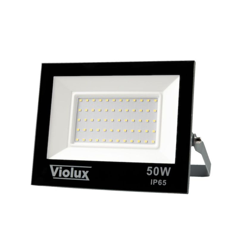 Прожектор світлодіодний RAY 50W 6000K IP65