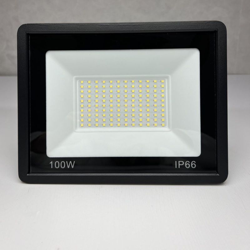 Прожектор світлодіодний вуличний FL-100W 5000K BLACK IP65