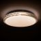 LED смарт світильник з пультом WILLOW  верба зоряне небо 80W IP40