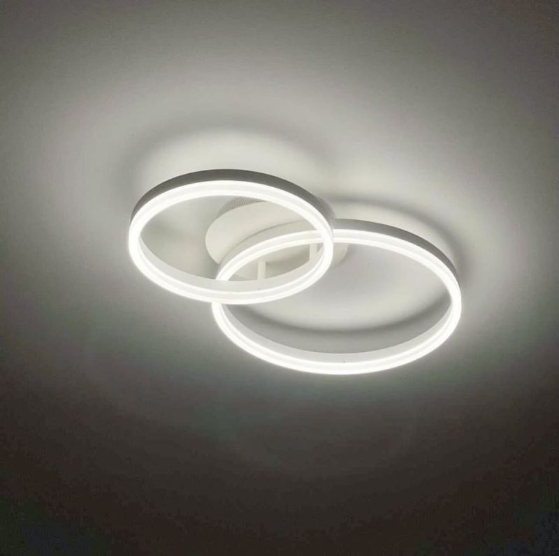 Стельова LED ЛЮСТРА НА 2 КІЛЬЦЯ в білому кольорі
