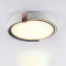 LED Світильник COLISEUM матовий 60W 39.5 см 3000К-6500К з ДК білий з синім